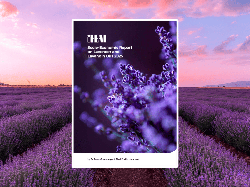 Socio-Economic Report on Lavender and Lavandin Oils 2025