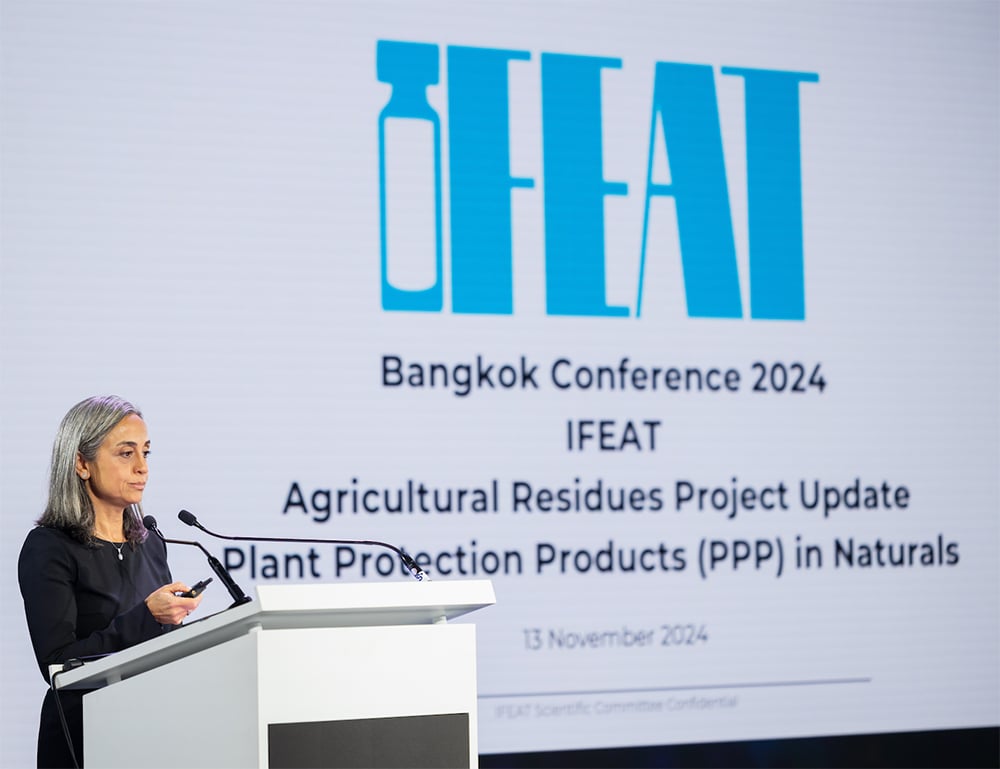 Sibel Erkilic Horsman presents on the PPP project at the IFEAT 2024 Bangkok Conference
